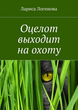 Лариса Логинова Оцелот выходит на охоту обложка книги