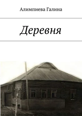 Галина Алимпиева Деревня обложка книги