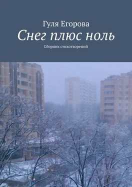 Гуля Егорова Снег плюс ноль обложка книги