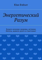 Юан Вэйхат - Энергетический разум