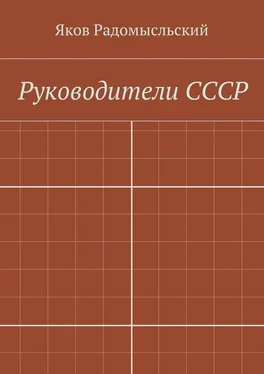 Яков Радомысльский Государство и власть обложка книги