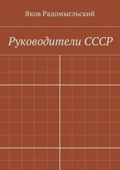 Яков Радомысльский - Государство и власть