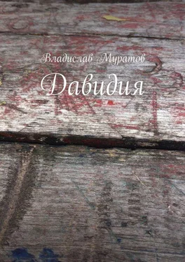 Владислав Муратов Давидия обложка книги