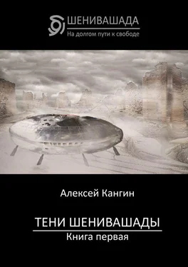 Алексей Кангин Тени Шенивашады. Книга первая обложка книги