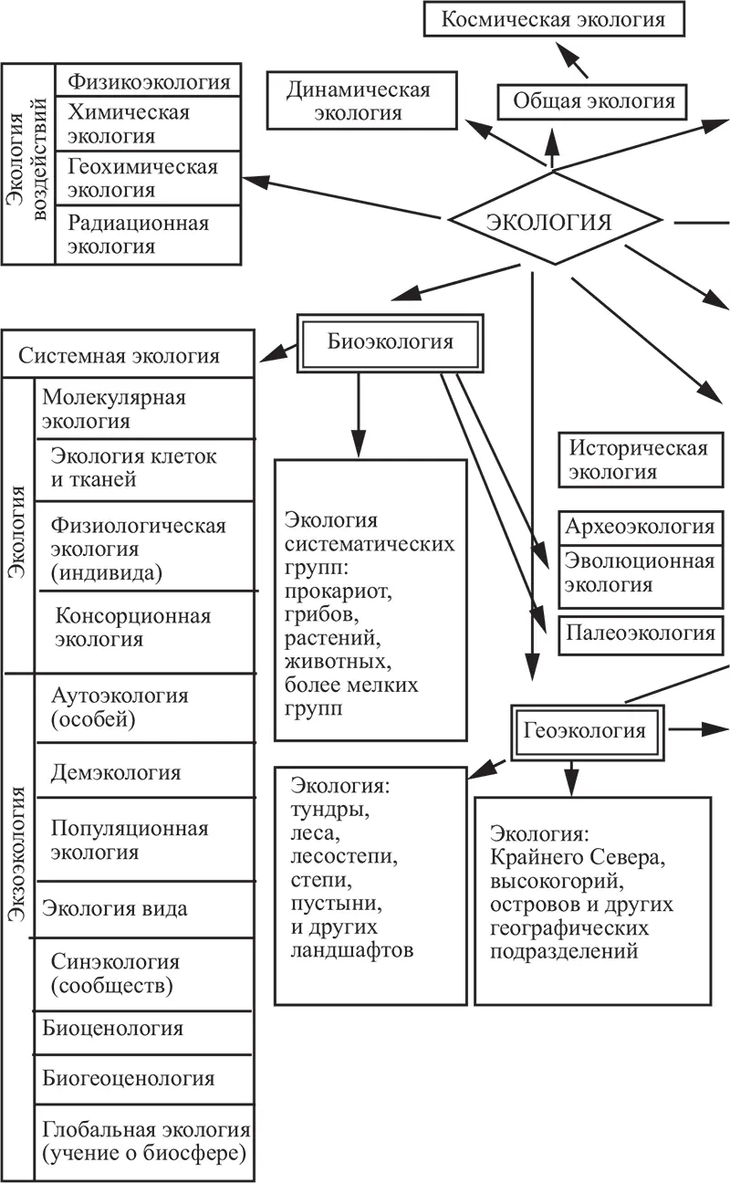 Рис 11 Структура современной экологии Глава 2 Экологические факторы среды - фото 1