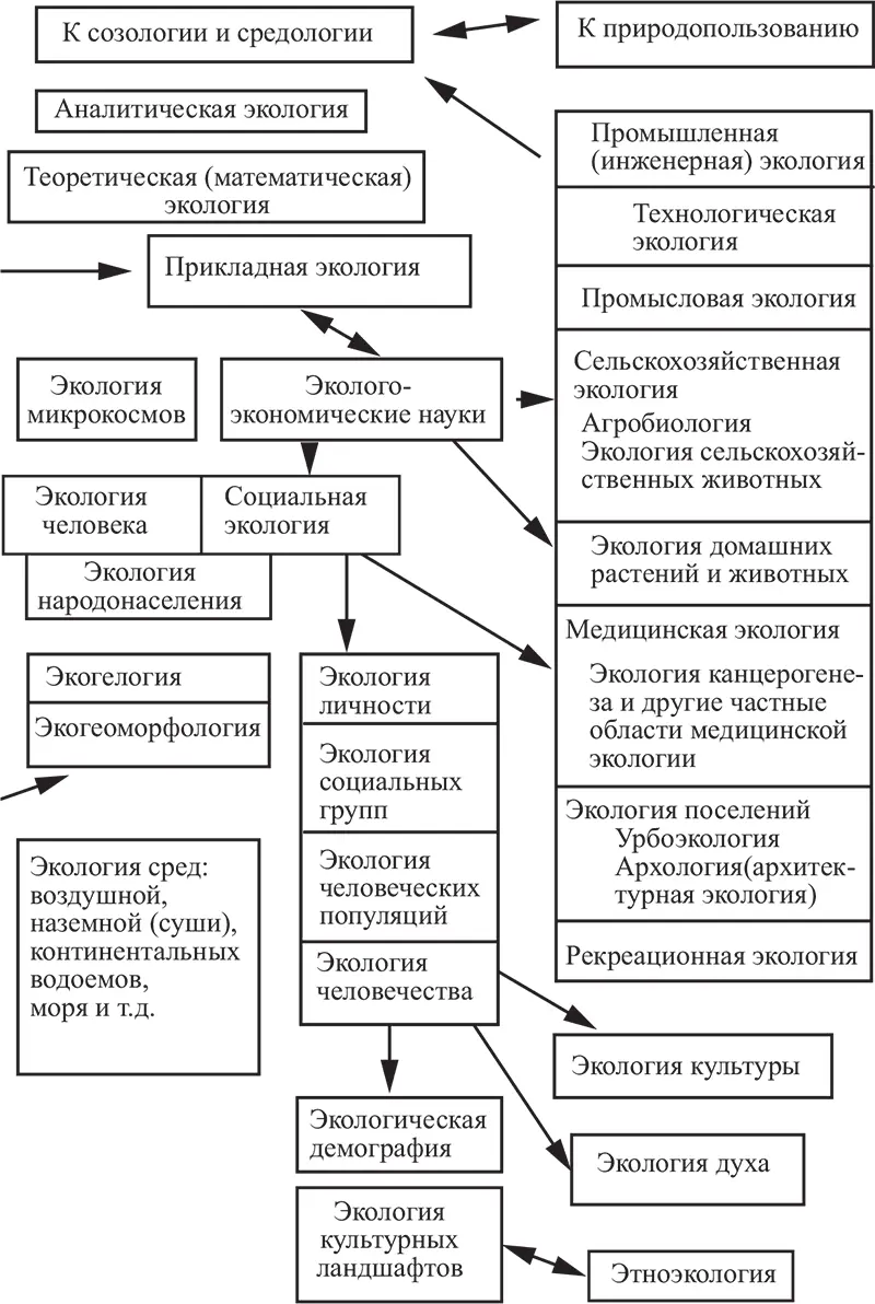Рис 11 Структура современной экологии Глава 2 Экологические факторы среды - фото 2