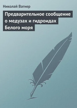 Николай Вагнер Предварительное сообщение о медузах и гидроидах Белого моря обложка книги