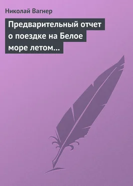 Николай Вагнер Предварительный отчет о поездке на Белое море летом 1876 г. обложка книги