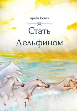 Арьен Новак Стать дельфином обложка книги