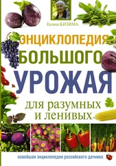 Галина Кизима - Энциклопедия большого урожая для разумных и ленивых