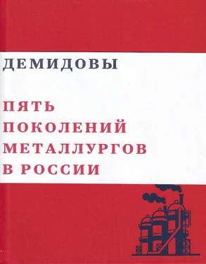 Валерий Чумаков Демидовы. Пять поколений металлургов России обложка книги