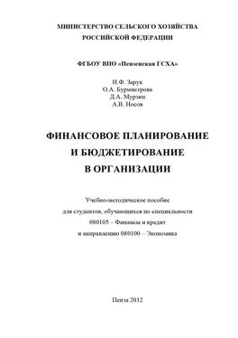 Денис Мурзин Финансовое планирование и бюджетирование в организации обложка книги