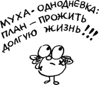 Итак если не фиксироваться на плане практически с ходу мы получаем следующие - фото 51
