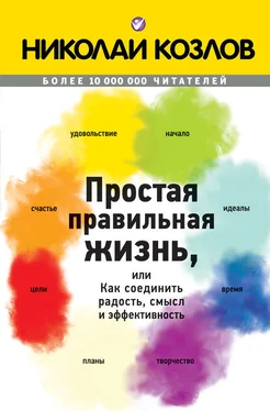 Николай Козлов Простая правильная жизнь, или Как соединить радость, смысл и эффективность обложка книги