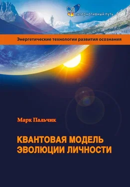 Марк Пальчик Квантовая модель эволюции личности обложка книги