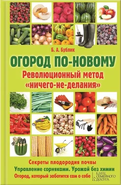 Борис Бублик Огород по-новому. Революционный метод «ничего-не-делания» обложка книги