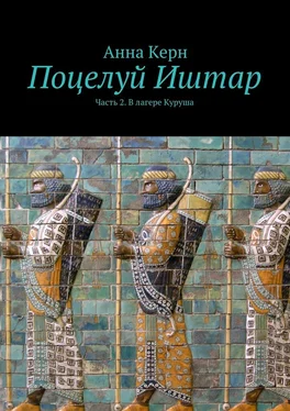 Анна Керн Поцелуй Иштар. Часть 2. В лагере Куруша обложка книги