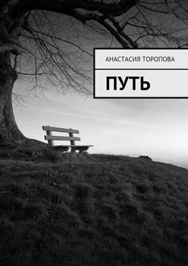 Анастасия Торопова Путь обложка книги