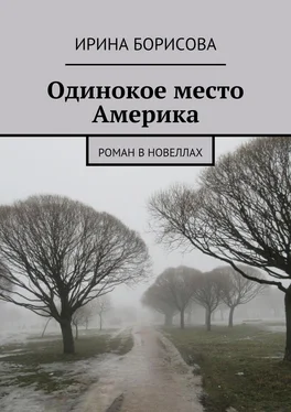 Ирина Борисова Одинокое место Америка. Роман в новеллах обложка книги