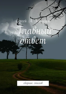 Сергей Танцура Главный ответ. сборник стихов обложка книги