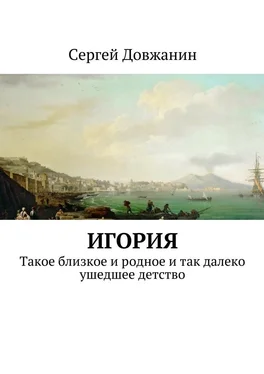 Сергей Довжанин Игория. Такое близкое и родное и так далеко ушедшее детство обложка книги