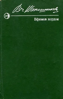 Вячеслав Шапошников Ефимов кордон обложка книги