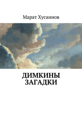 Марат Хусаинов Димкины загадки обложка книги