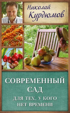 Николай Курдюмов Современный сад для тех, у кого нет времени обложка книги