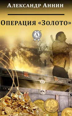 Александр Аннин Операция «Золото» обложка книги