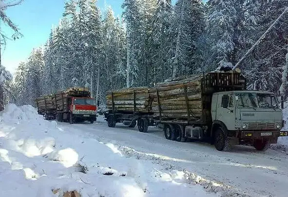 Лесовозы на вывозке леса делай что хочешь но чтобы цех работал Это меня - фото 2