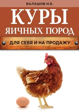 Иван Балашов Куры яичных пород обложка книги