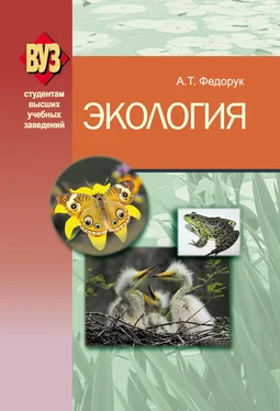 Анатолий Федорук Экология обложка книги