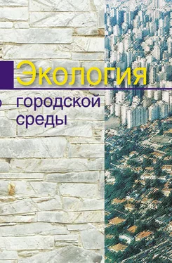 Александр Челноков Экология городской среды обложка книги