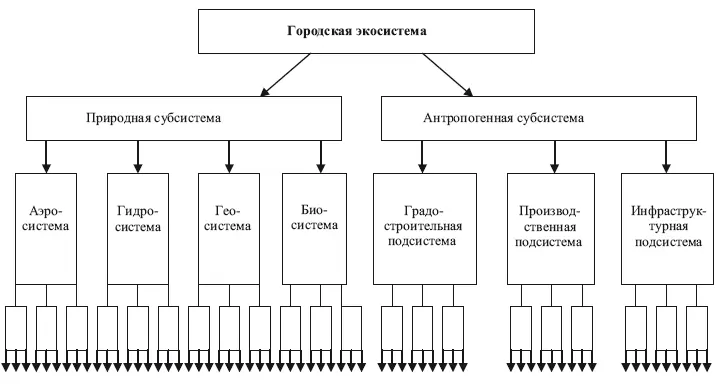Рис 15 Городская экосистема Хомич 2002 Антропогенная субсистема - фото 5