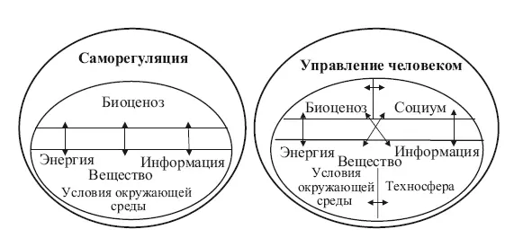 Рис 16 Отличительные черты естественной экосистемы и урбоэкосистемы - фото 6