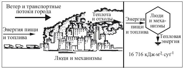 б Рис 17 Гетеротрофные экологические системы а устричная банка б - фото 8