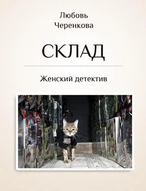 Любовь Черенкова Склад обложка книги