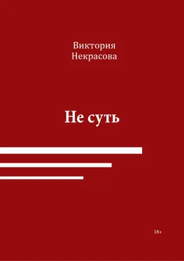 Виктория Некрасова Не суть обложка книги