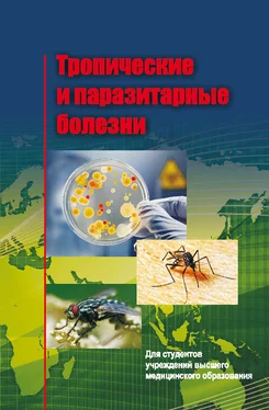 Сергей Жаворонок Тропические и паразитарные болезни обложка книги