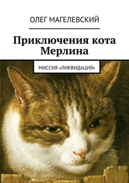 Олег Магелевский Приключения кота Мерлина. Миссия «Ликвидация» обложка книги