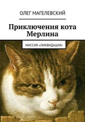 Олег Магелевский - Приключения кота Мерлина. Миссия «Ликвидация»