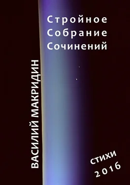 Василий Макридин Стройное собрание сочинений обложка книги