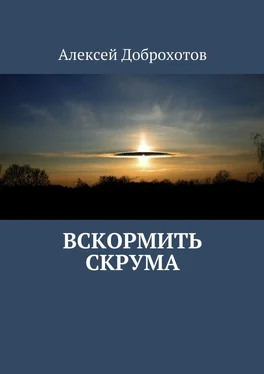 Алексей Доброхотов Вскормить Скрума обложка книги