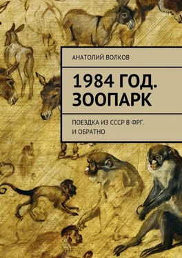 Анатолий Волков 1984 год. Зоопарк. Поездка из СССР в ФРГ. И обратно обложка книги