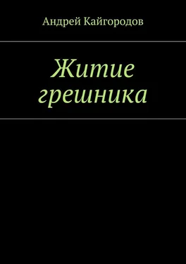 Андрей Кайгородов Житие грешника обложка книги