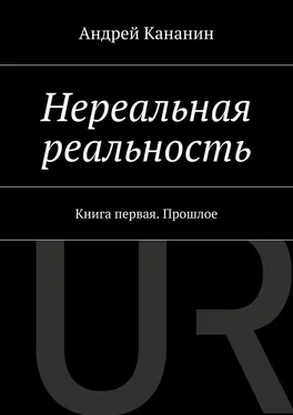 Андрей Кананин Нереальная реальность обложка книги