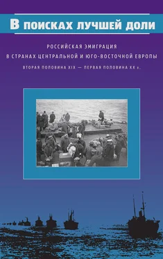 Коллектив авторов В поисках лучшей доли. Российская эмиграция в странах Центральной и Юго-Восточной Европы. Вторая половина XIX – первая половина XX в. обложка книги