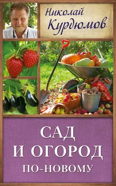 Николай Курдюмов Сад и огород по-новому обложка книги