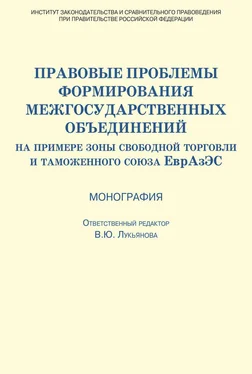 Коллектив авторов Правовые проблемы формирования межгосударственных объединений (на примере зоны свободной торговли и таможенного союза ЕврАзЭС) обложка книги