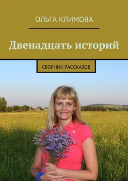 Ольга Климова Двенадцать историй. сборник рассказов обложка книги